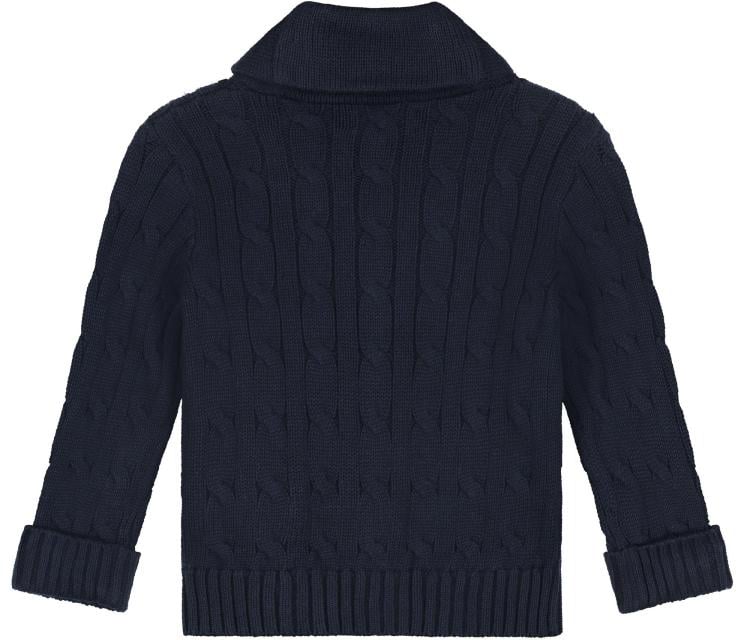 Ralph Lauren Sweater-cardigan Blauw