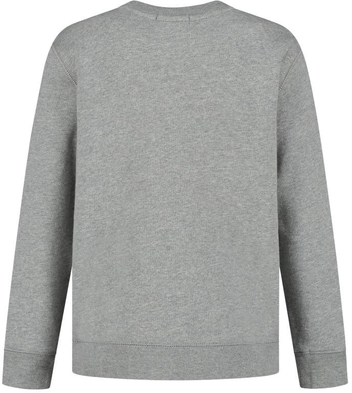 Ralph Lauren Sweatshirt Grijs