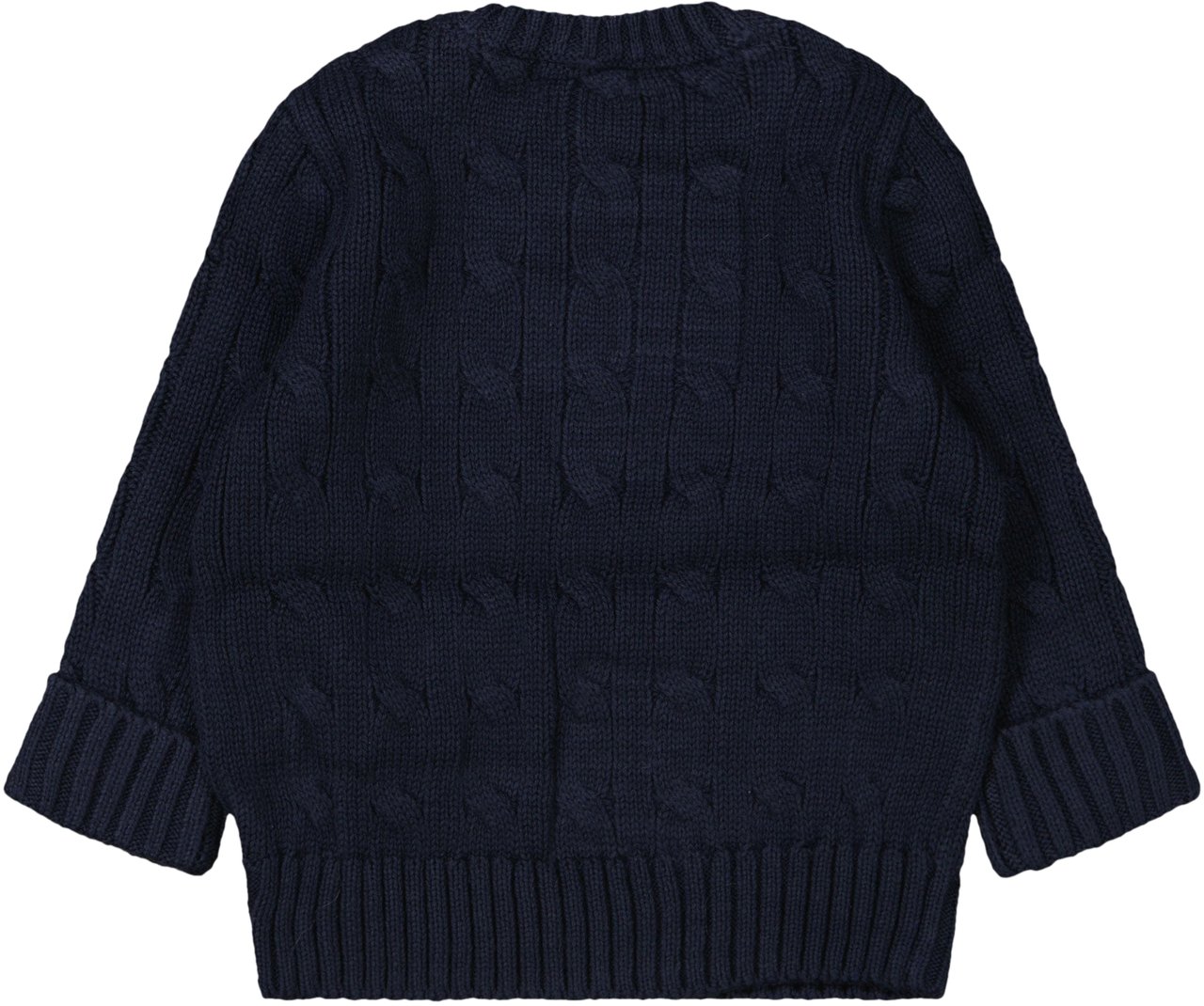 Ralph Lauren Ralph Lauren Baby Jongens Trui In Navy Blauw