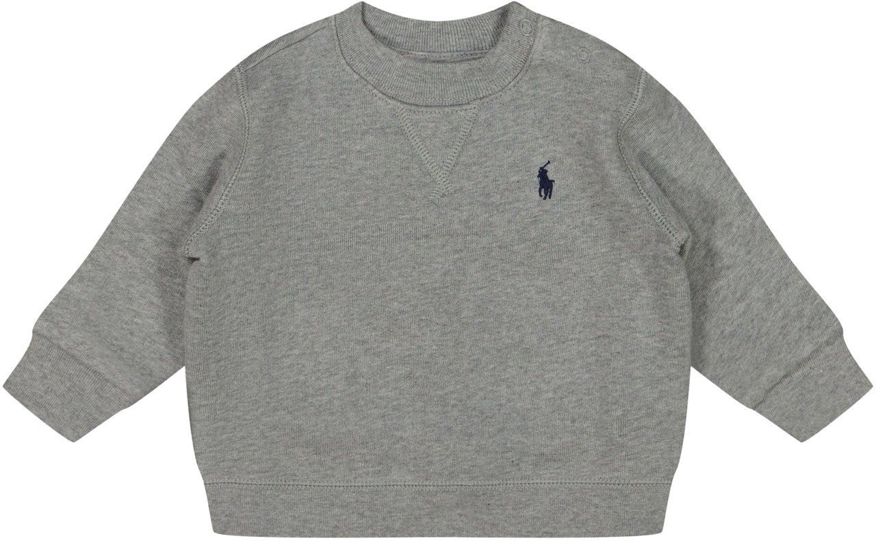 Ralph Lauren Ralph Lauren Baby Jongens Trui In Licht Grijs Grijs