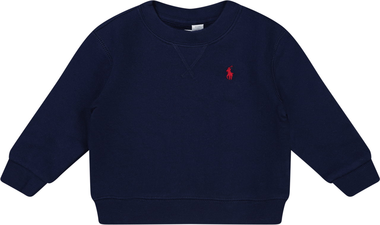 Ralph Lauren Ralph Lauren Baby Jongens Trui In Navy Blauw