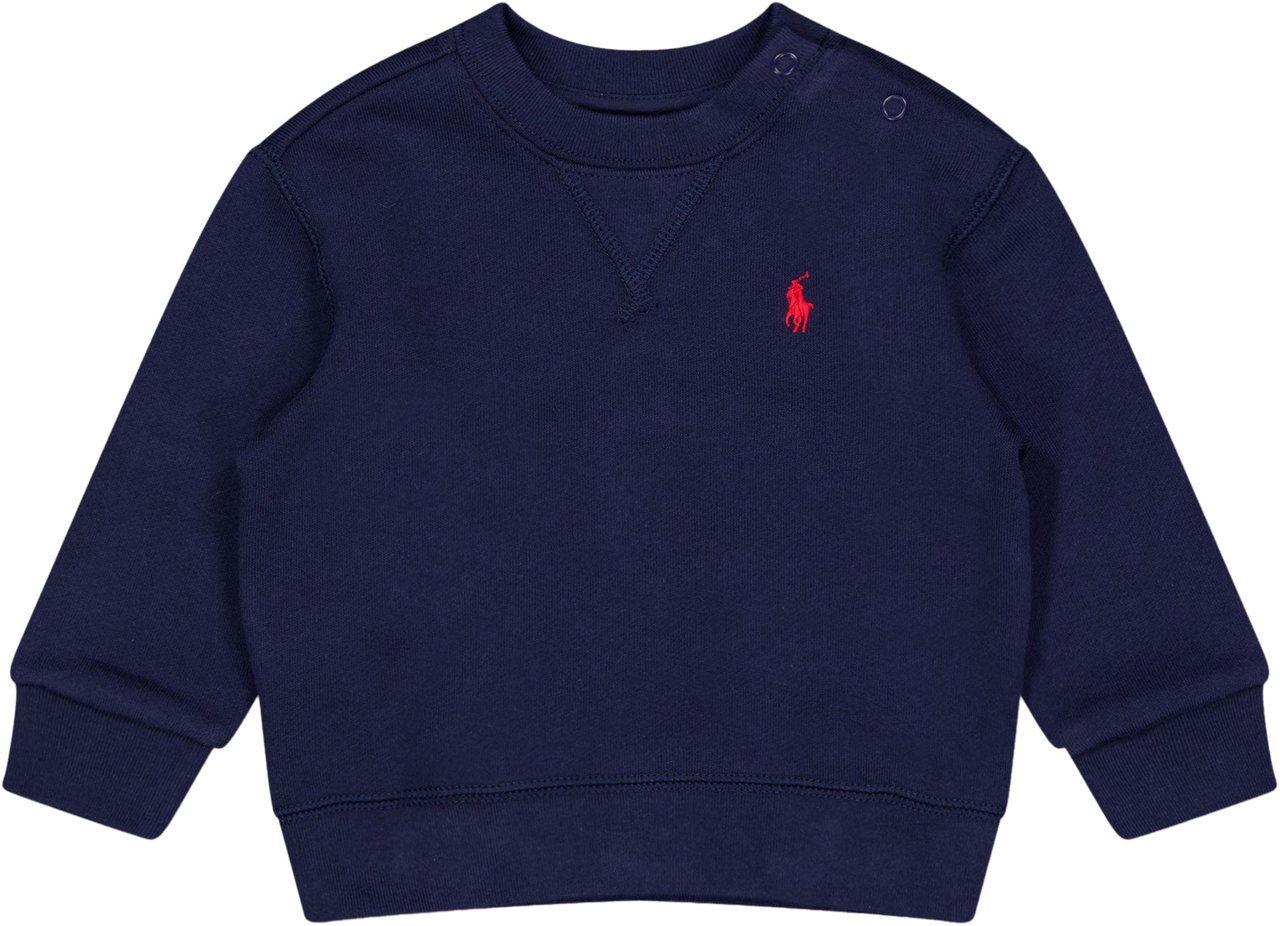 Ralph Lauren Ralph Lauren Baby Jongens Trui In Navy Blauw