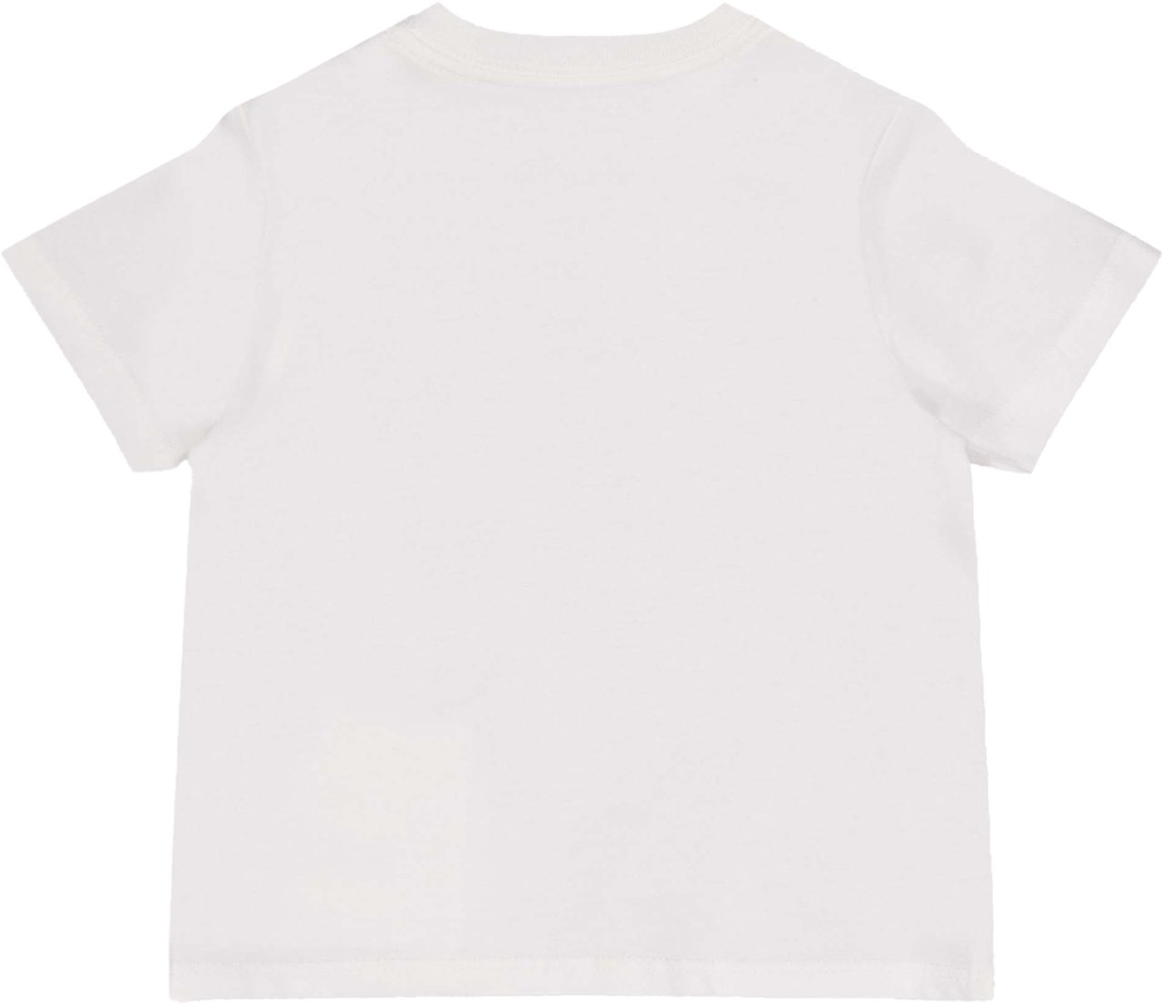 Ralph Lauren Ralph Lauren Baby Jongens T-Shirt In Wit Wit
