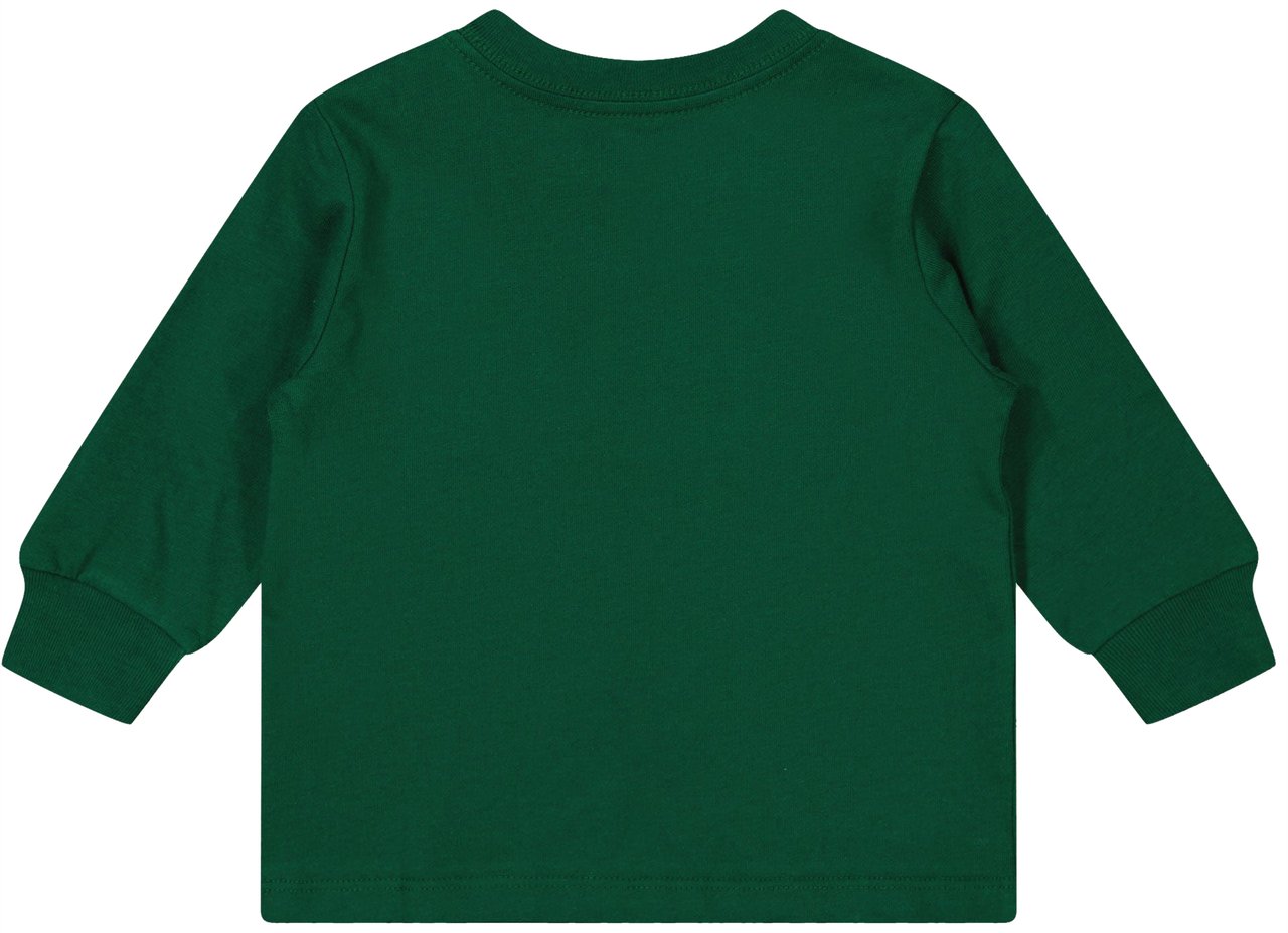 Ralph Lauren Ralph Lauren Baby Jongens T-Shirt In Groen Groen