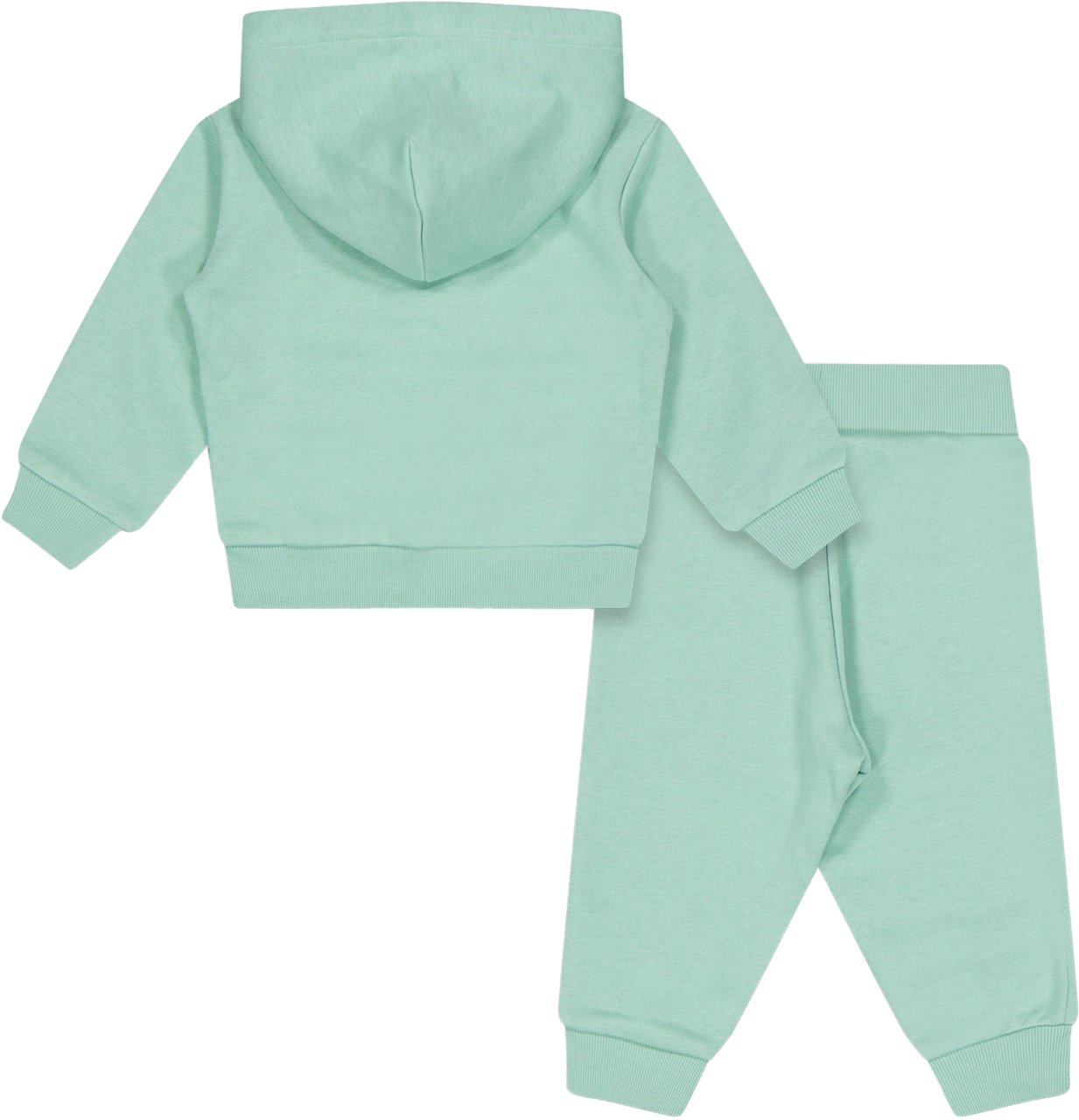 Ralph Lauren Ralph Lauren Baby Jongens Joggingpak In Licht Groen Groen