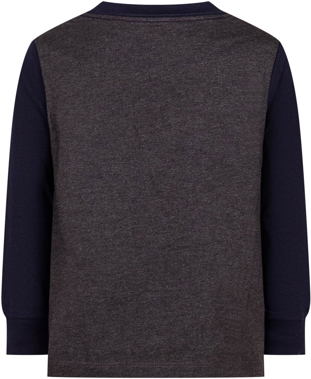 Ralph Lauren Maglia maniche lunghe Polo Ralph Lauren Blauw