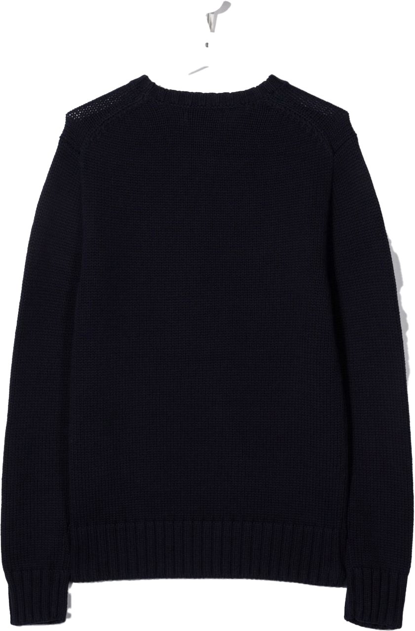 Ralph Lauren Sweaters Blue Blauw