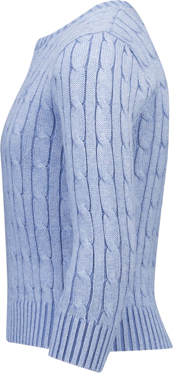 Ralph Lauren Ralph Lauren Kinder Jongens Trui In Licht Blauw Blauw