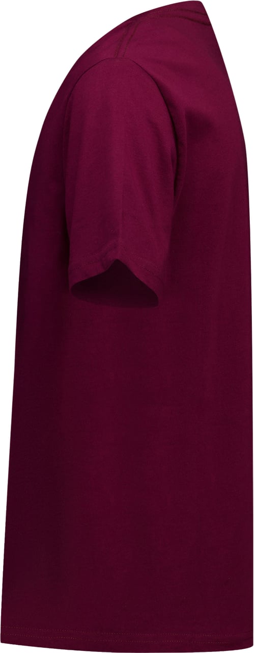 Ralph Lauren Kinder Jongens T-Shirt In Bordeaux Rood