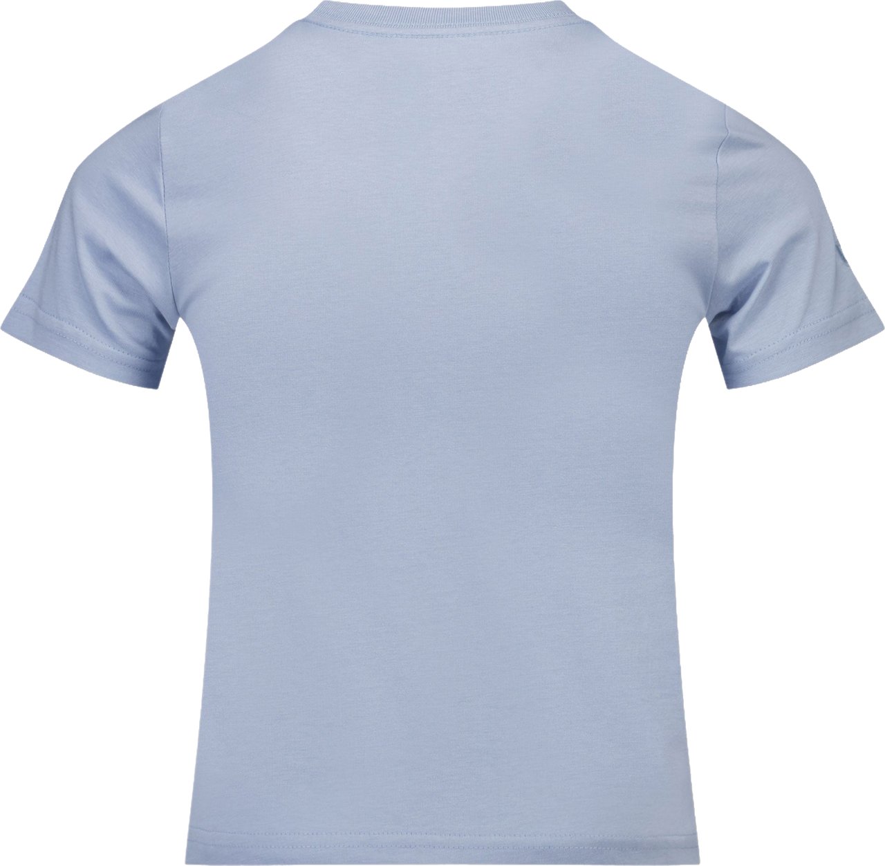 Ralph Lauren Ralph Lauren Kinder Jongens T-Shirt In Licht Blauw Blauw