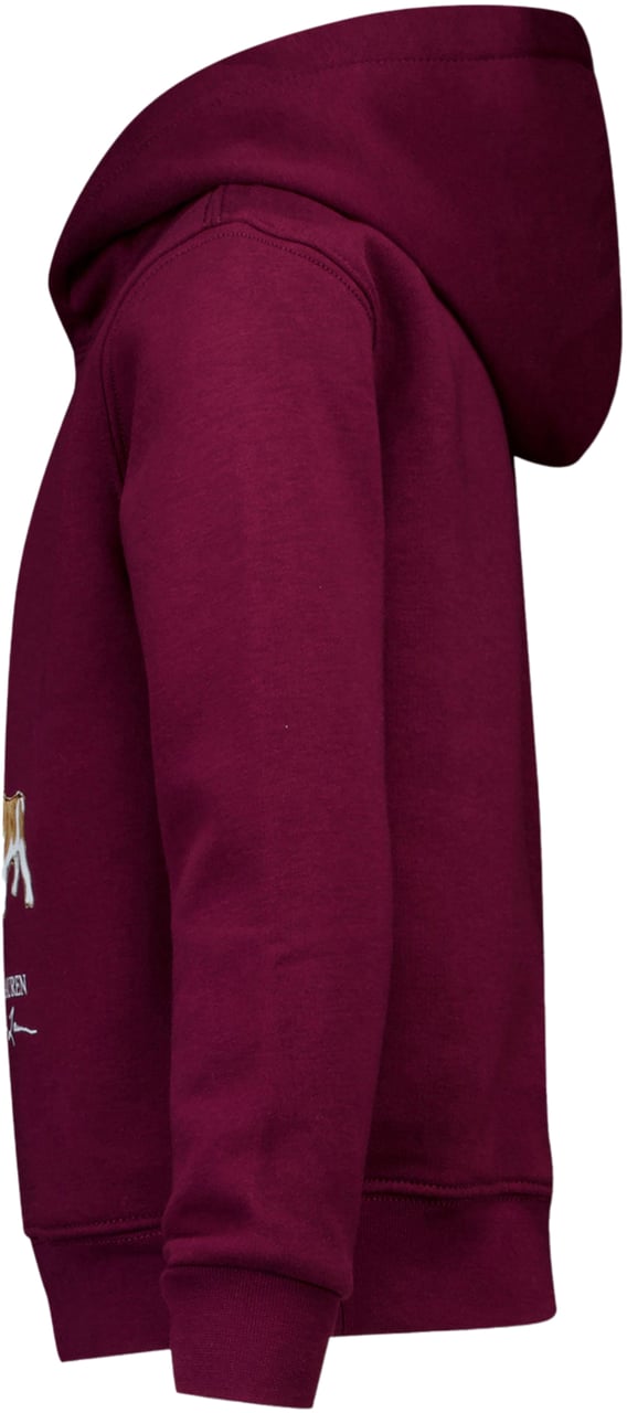 Ralph Lauren Ralph Lauren Kinder Jongens Trui In Bordeaux Rood
