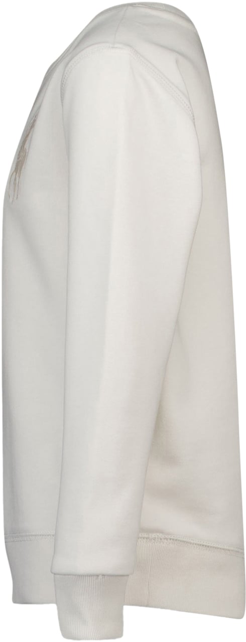 Ralph Lauren Ralph Lauren Kinder Jongens Trui In Wit Wit
