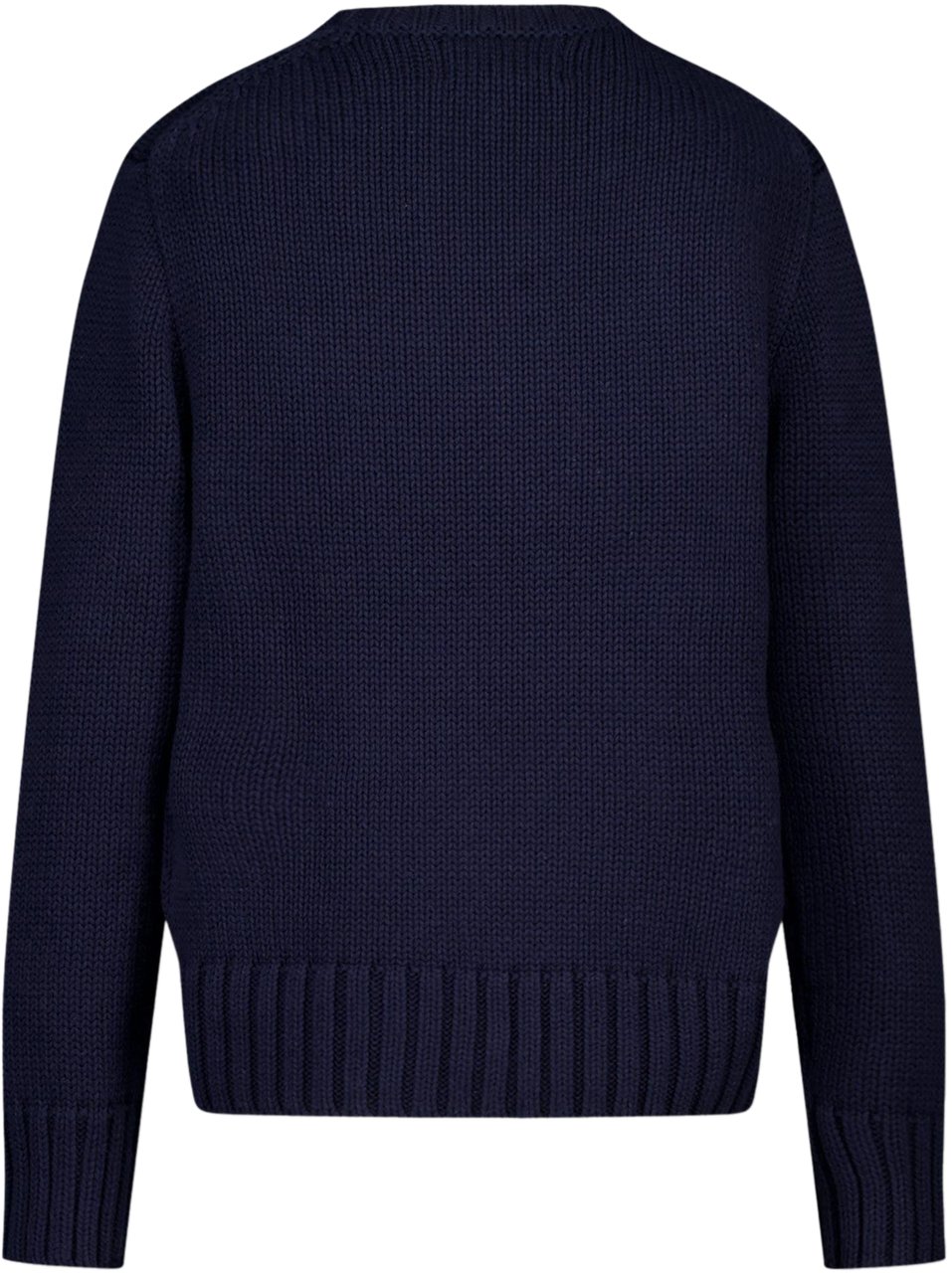Ralph Lauren Ralph Lauren Kinder Jongens Trui In Navy Blauw