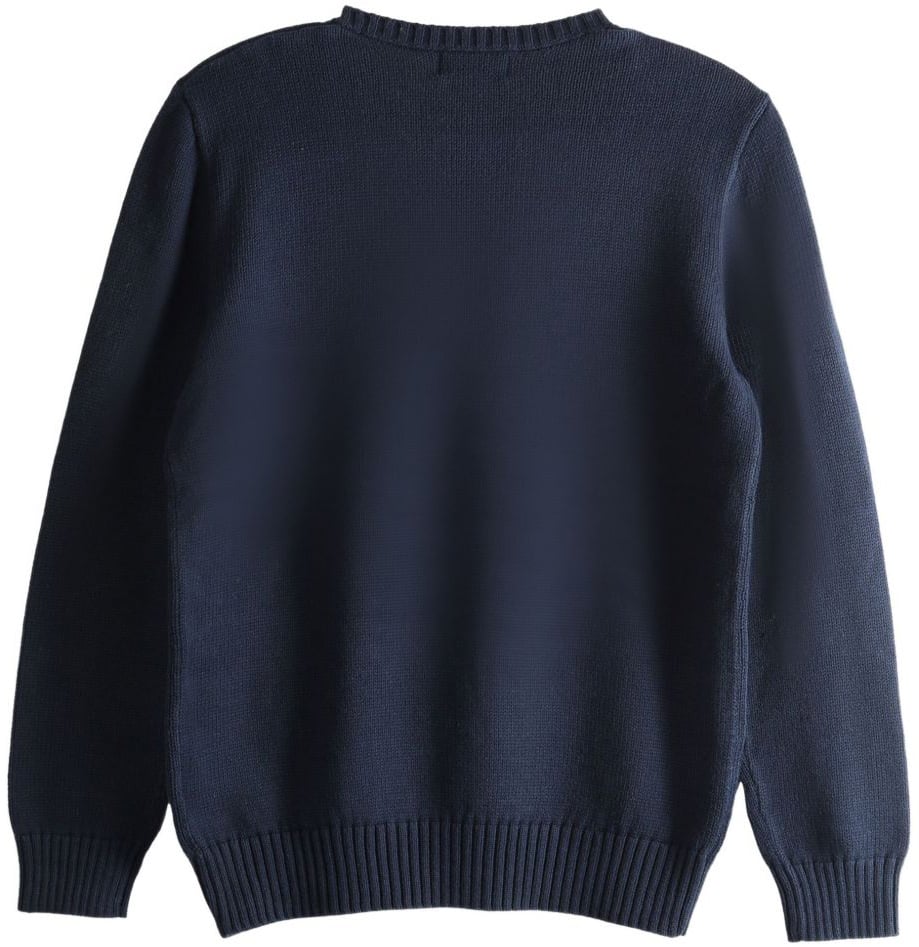Ralph Lauren Sweaters Blue Blauw