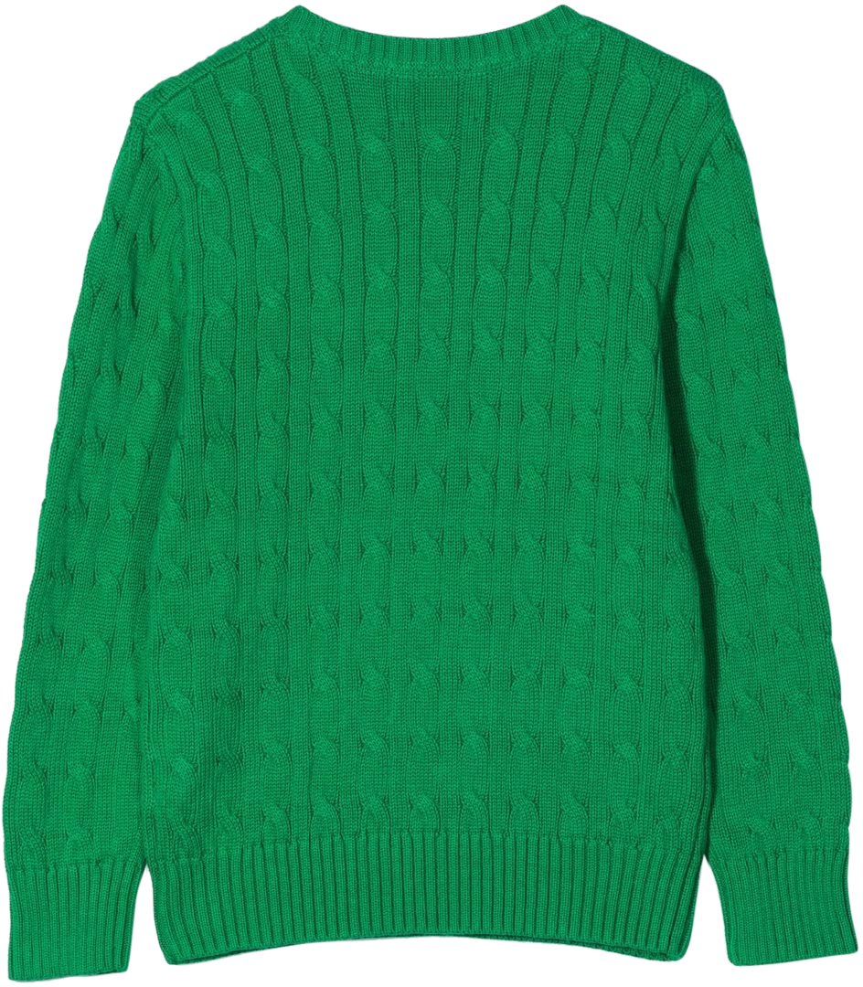Ralph Lauren Sweaters Stem Wit