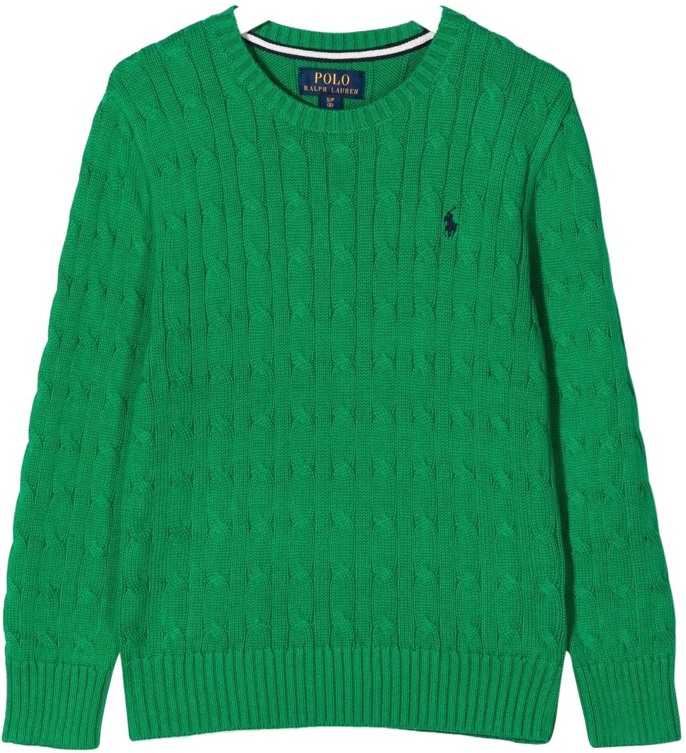 Ralph Lauren Sweaters Stem Wit