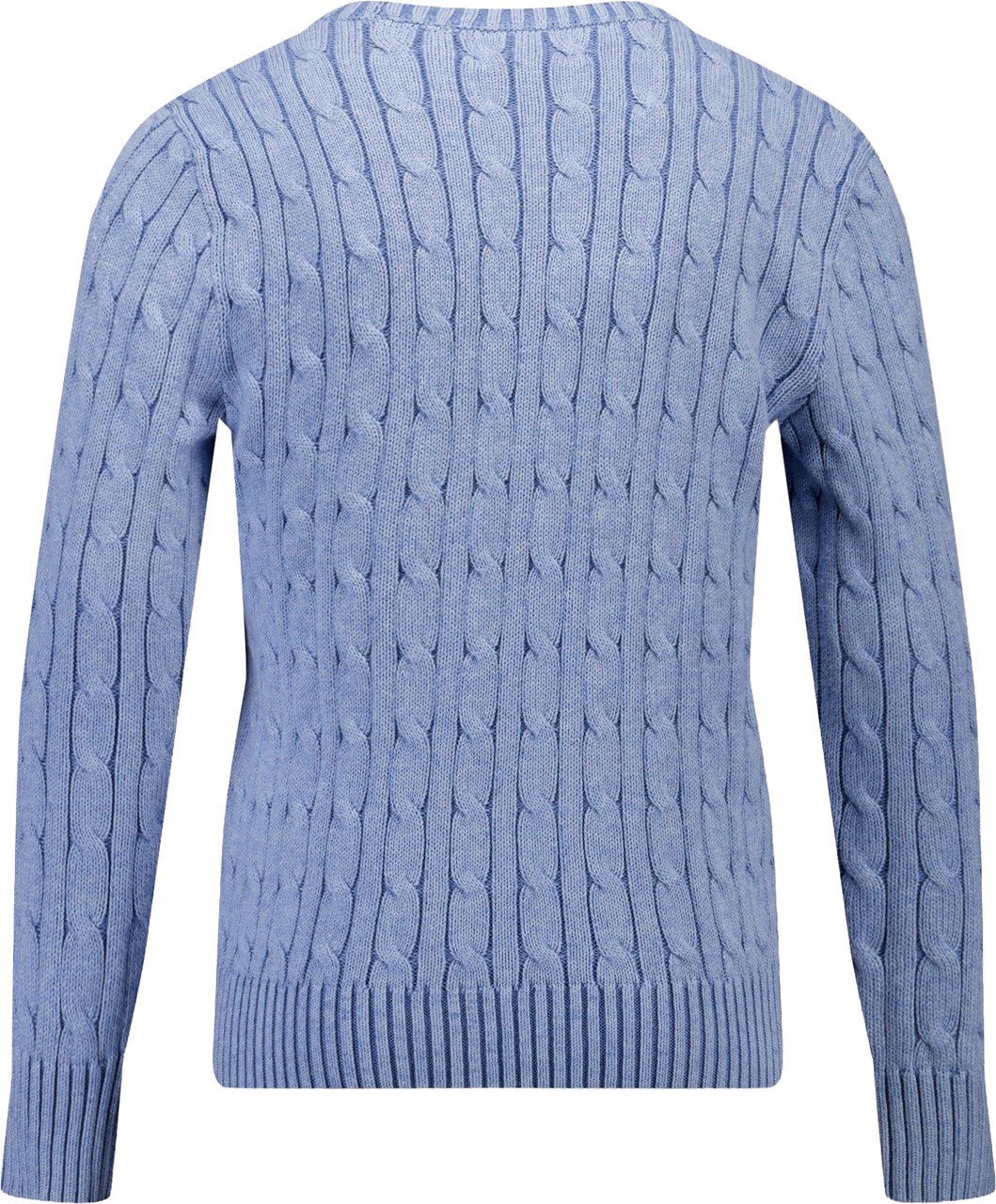 Ralph Lauren Ralph Lauren Kinder Jongens Trui In Licht Blauw Blauw