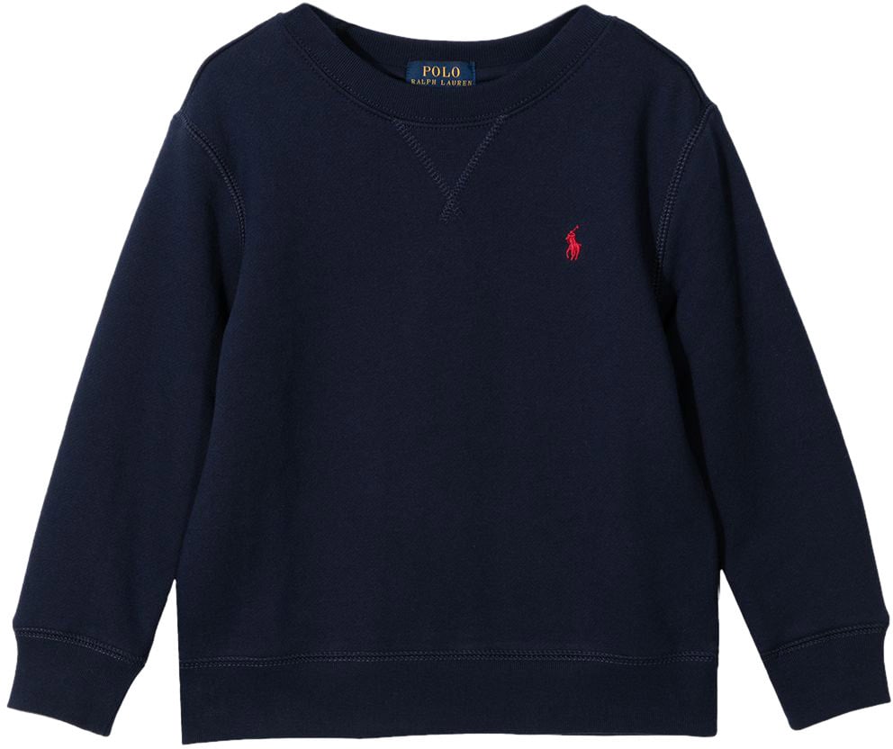 Ralph Lauren Sweaters Blue Blauw