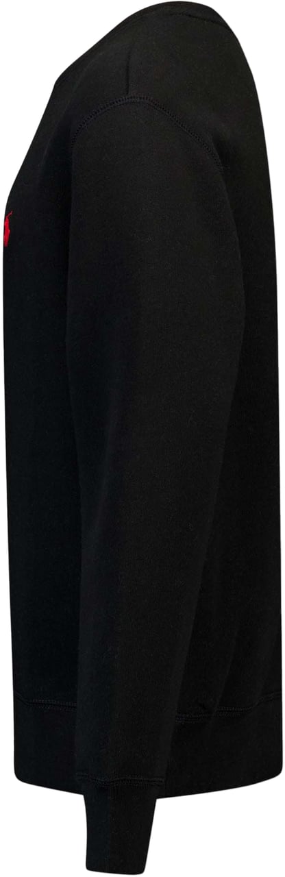 Ralph Lauren Ralph Lauren Kinder Jongens Trui In Zwart Zwart