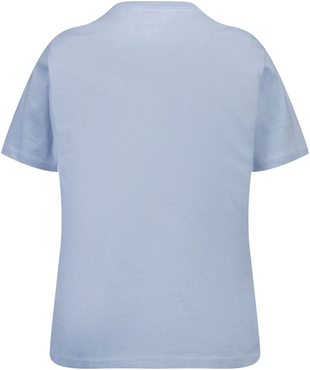 Ralph Lauren Ralph Lauren Kinder Jongens T-Shirt In Licht Blauw Blauw