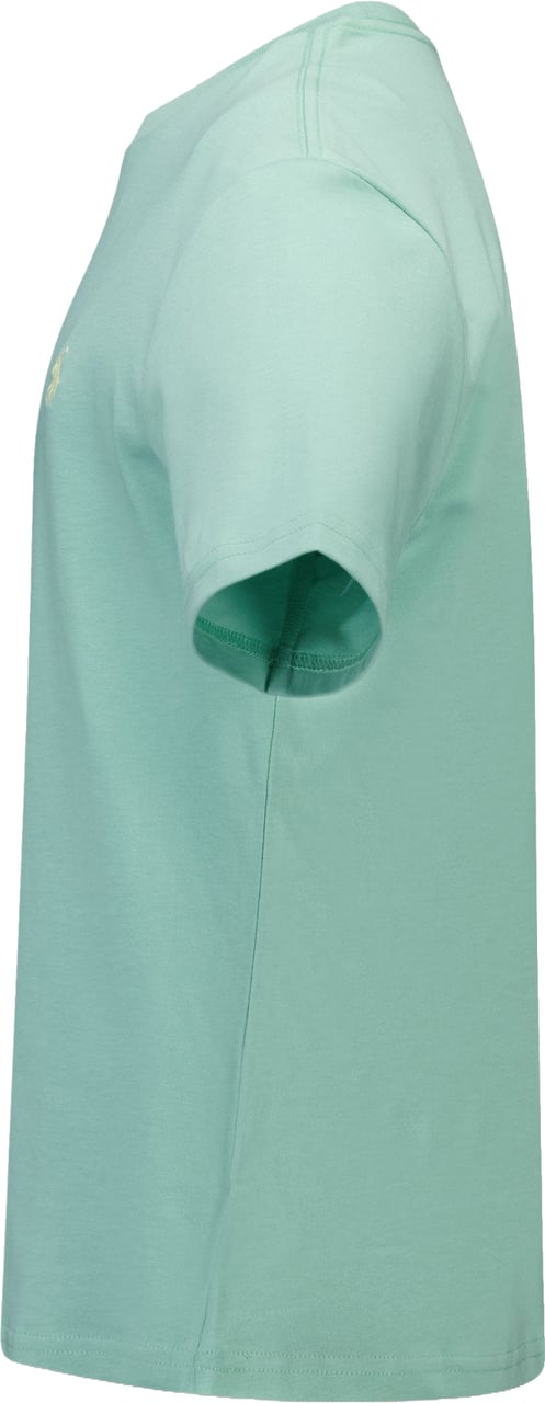 Ralph Lauren Ralph Lauren Kinder Jongens T-Shirt In Licht Groen Groen