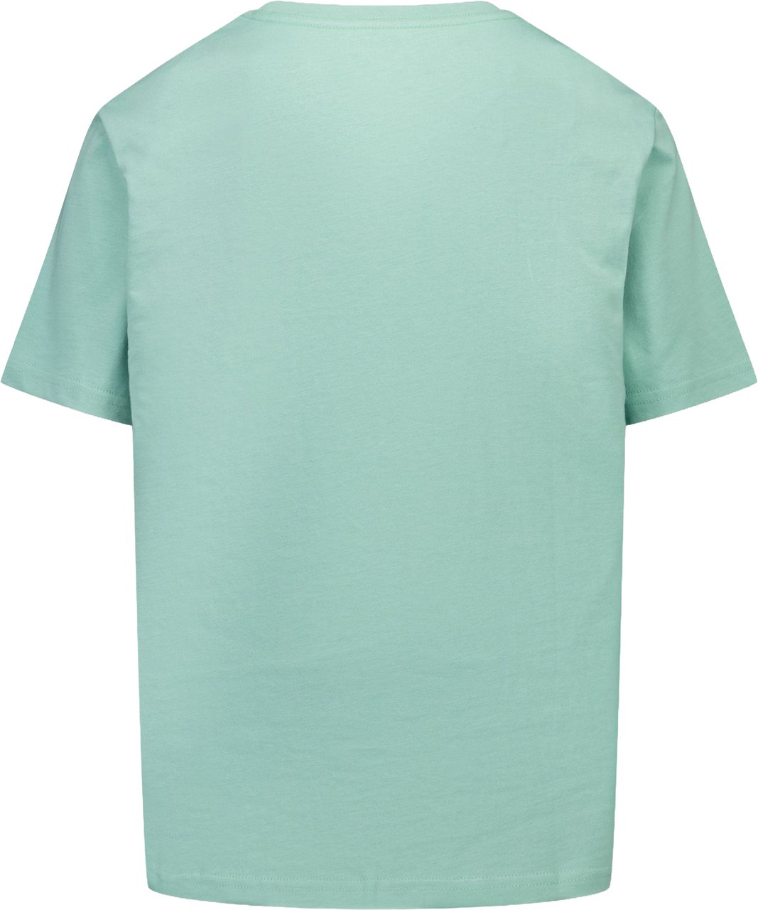 Ralph Lauren Ralph Lauren Kinder Jongens T-Shirt In Licht Groen Groen