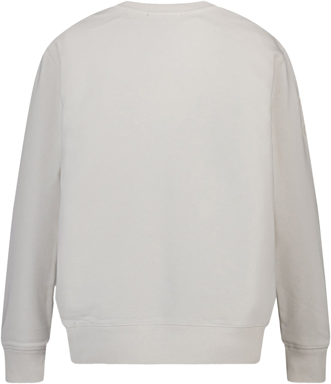 Ralph Lauren Ralph Lauren Kinder Jongens Trui In Wit Wit