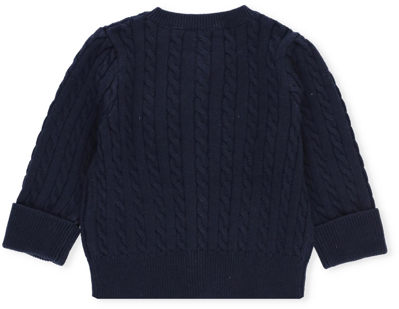 Ralph Lauren Sweaters Blue Blauw