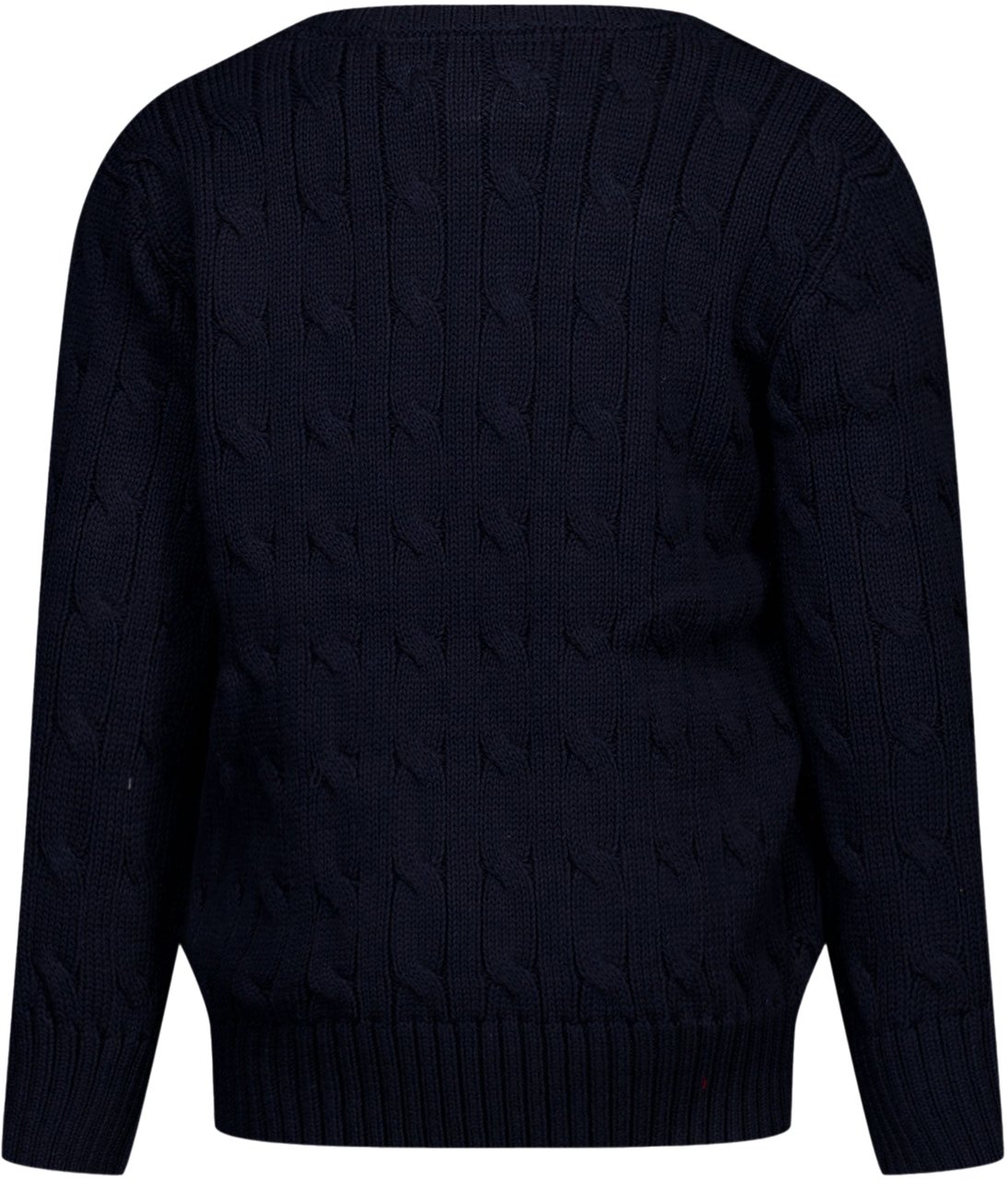 Ralph Lauren Ralph Lauren Kinder Jongens Trui In Navy Blauw