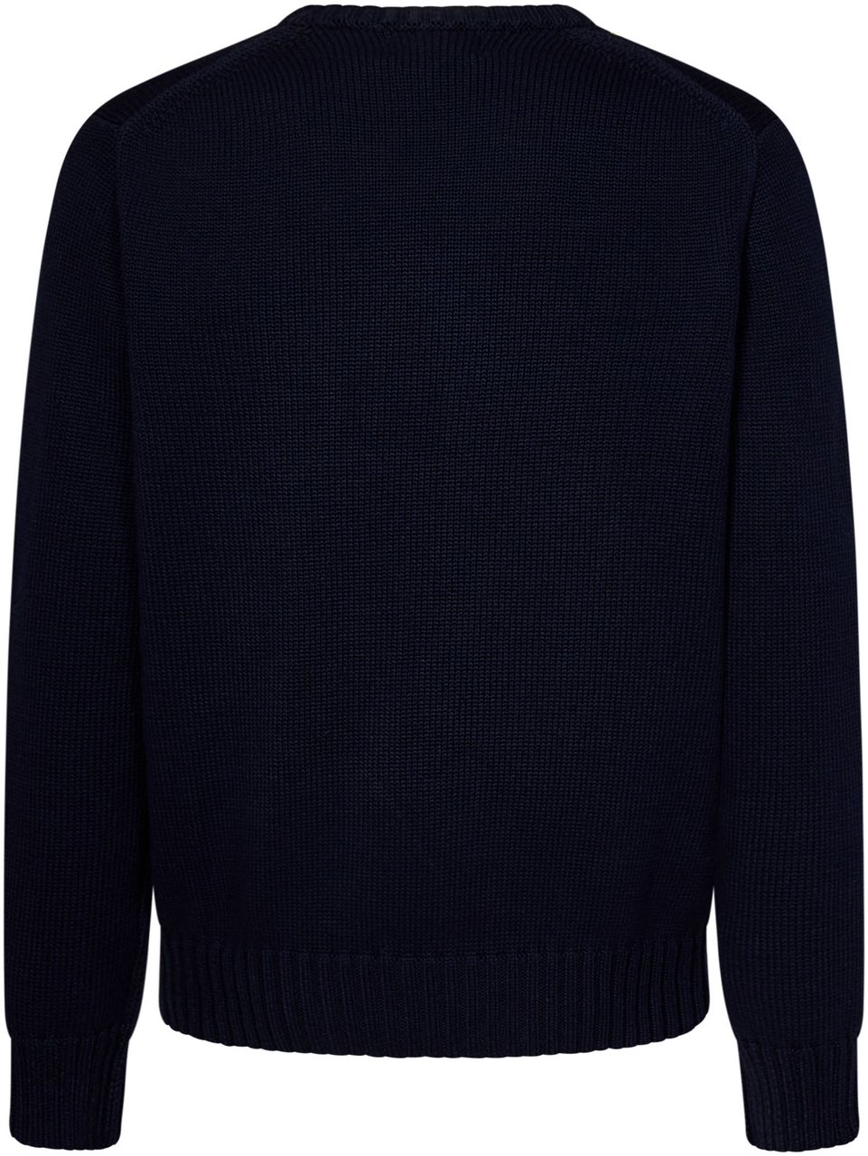 Ralph Lauren Sweaters Blue Blauw