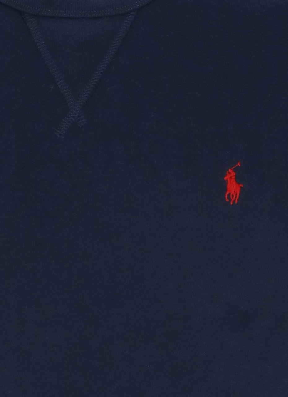 Ralph Lauren Sweaters Blue Blauw