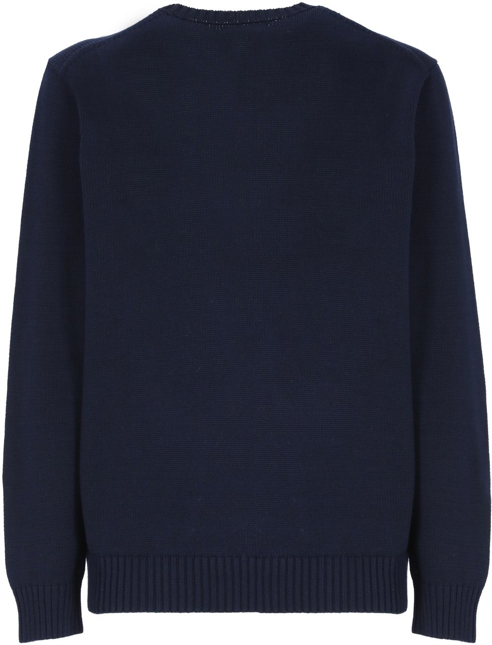 Ralph Lauren Sweaters Blue Blauw