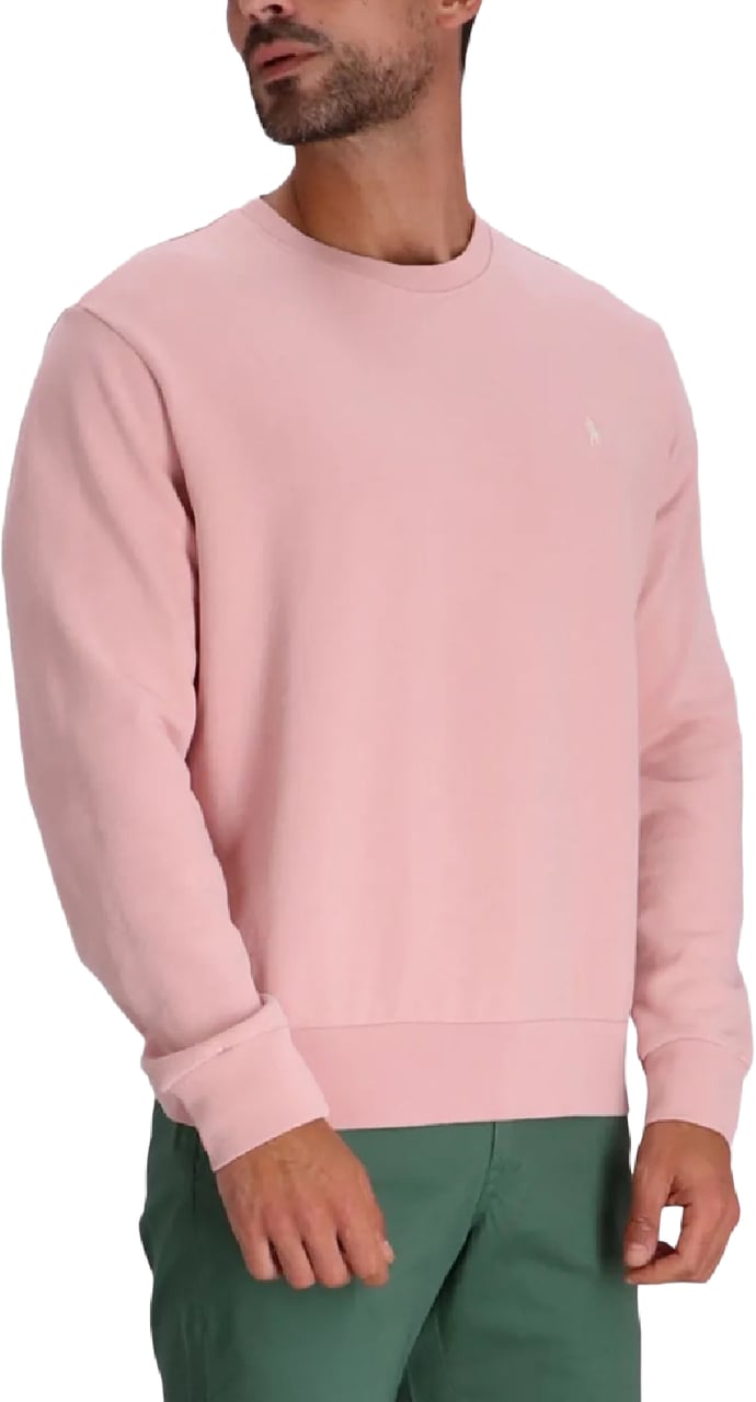 Ralph Lauren loopback fleece sweatshirt divers Divers