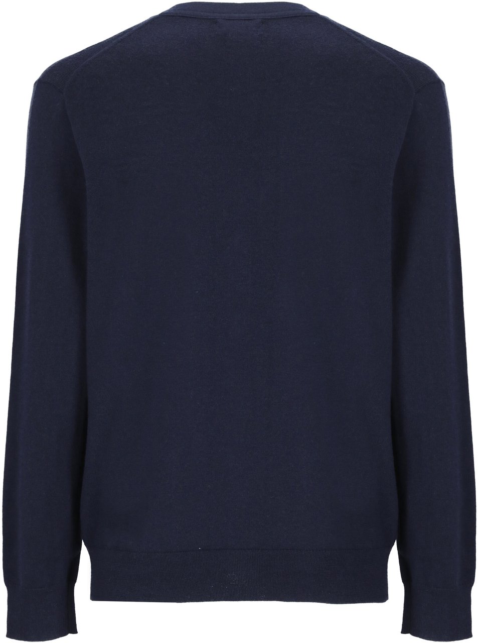 Ralph Lauren Sweaters Blue Blauw