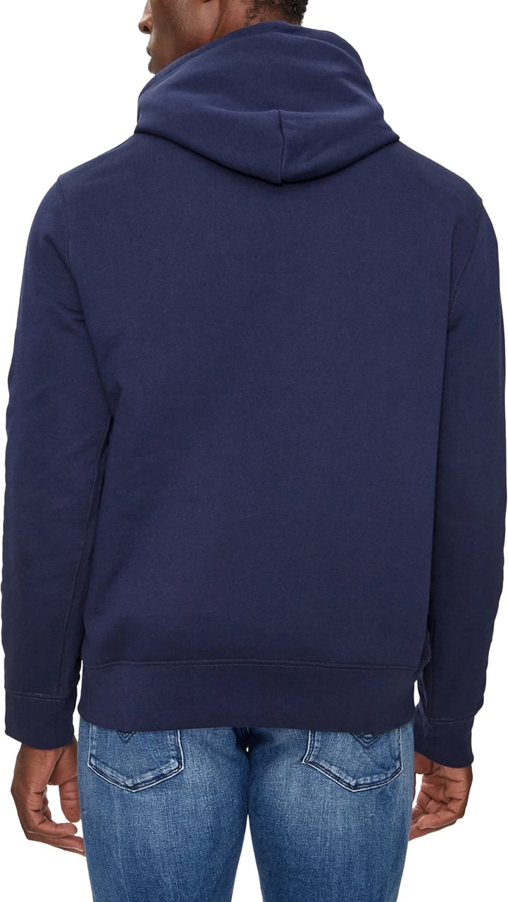 Ralph Lauren Varsity Polo Bear Logo Hoodie Blauw