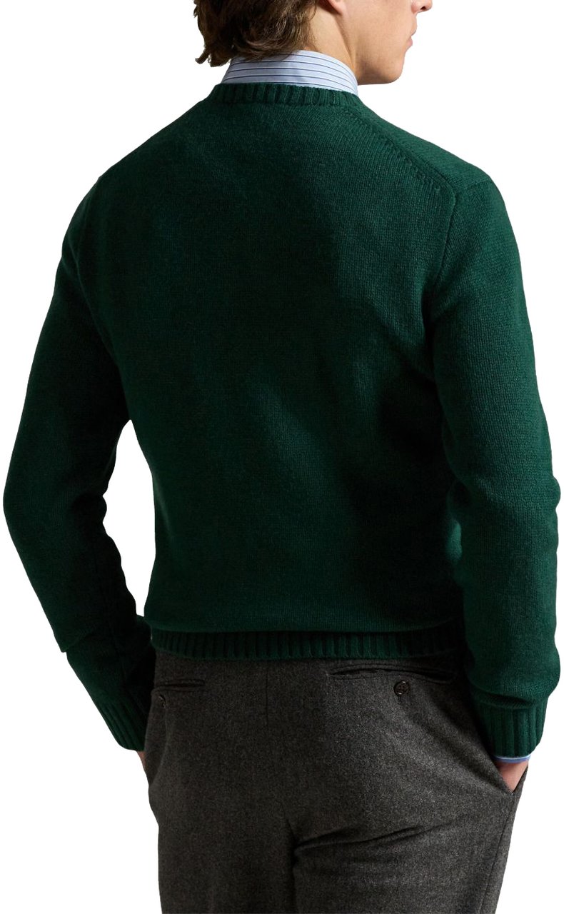Ralph Lauren Maglia Girocollo Polo Bear Groen