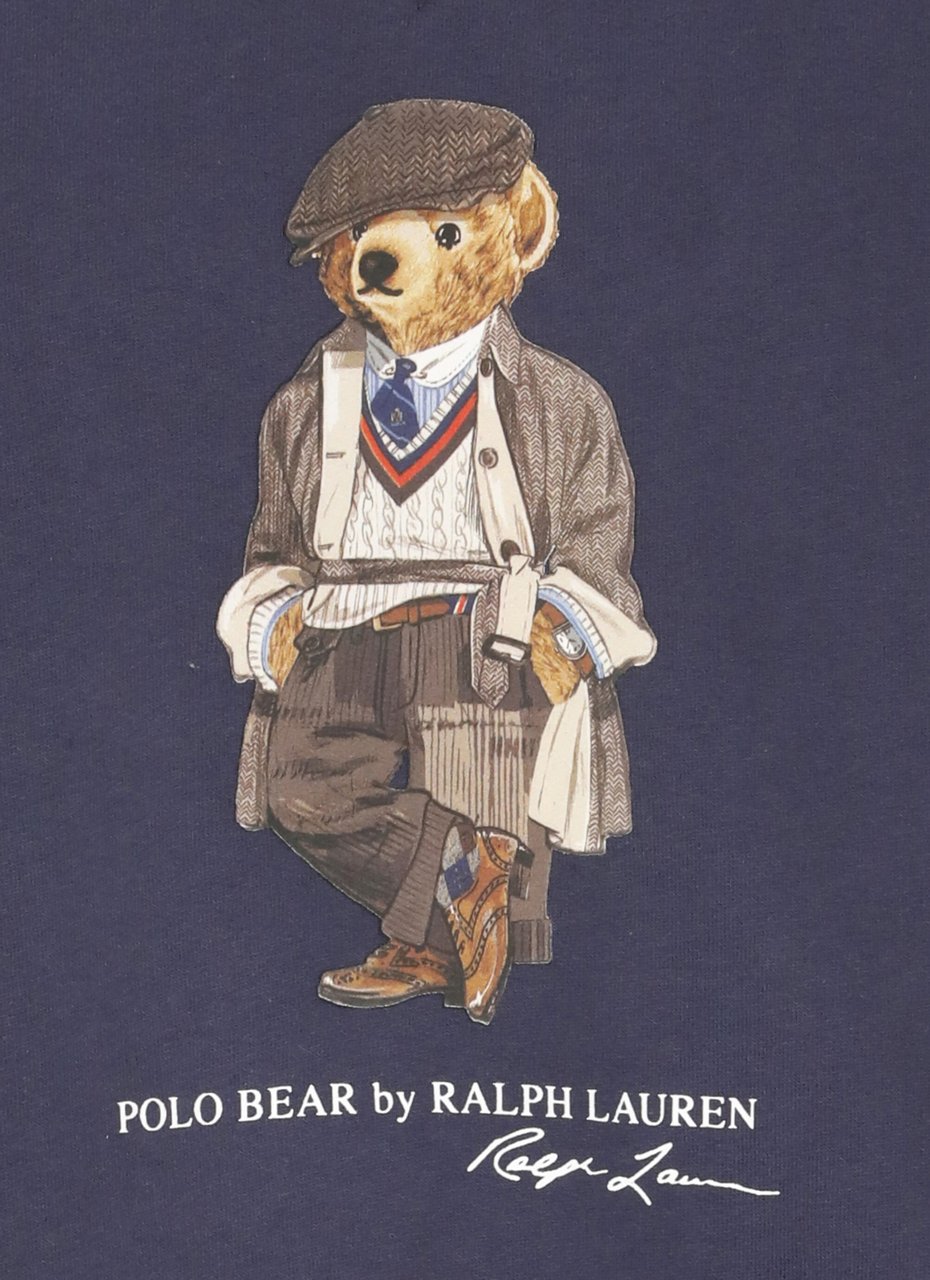 Ralph Lauren Sweaters Blue Blauw