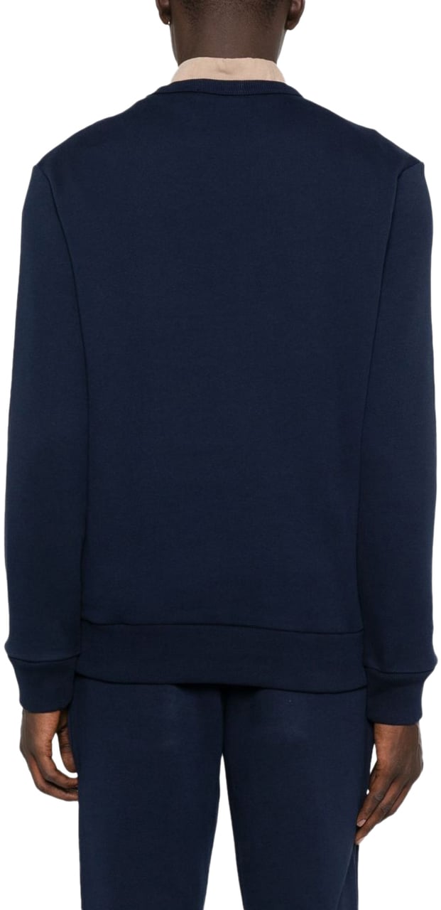 Ralph Lauren Sweaters Blue Blauw