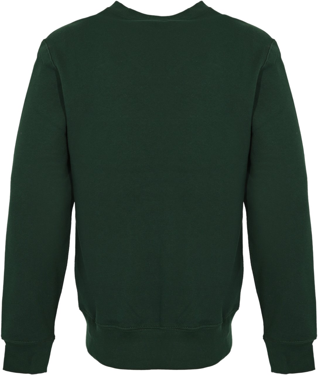 Ralph Lauren Sweaters Green Groen