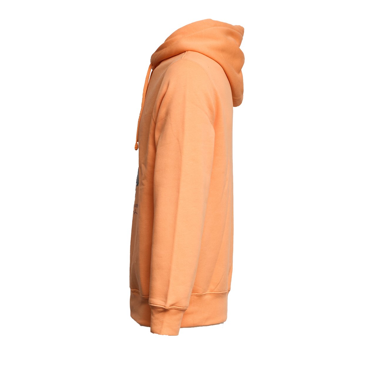 Ralph Lauren Polo Bear Printed Drawstring Hoodie Oranje