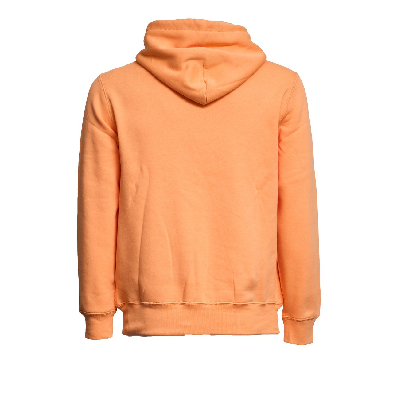 Ralph Lauren Polo Bear Printed Drawstring Hoodie Oranje