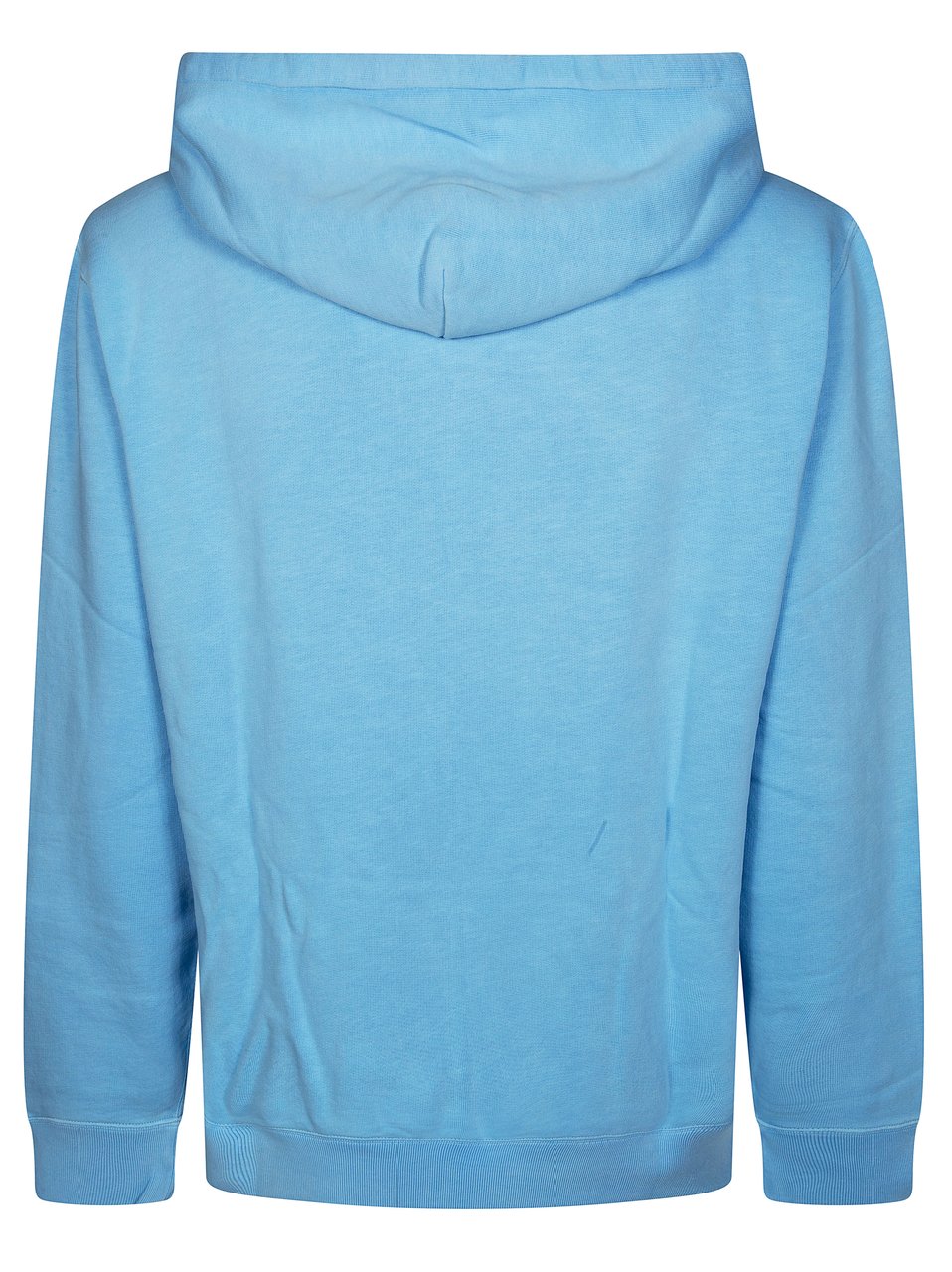 Ralph Lauren Playful Bear Graphic Drawstring Hoodie Blauw