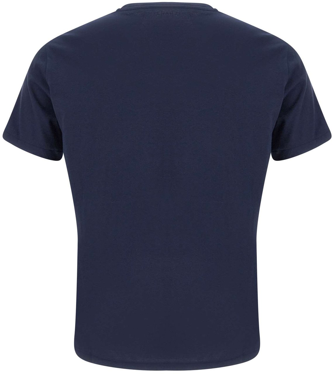Ralph Lauren T-Shirts And Polos Blue Blauw