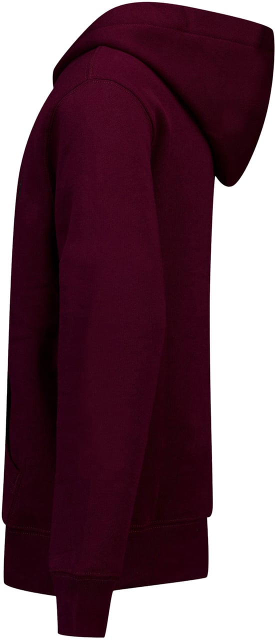 Ralph Lauren Ralph Lauren Kinder Jongens Trui In Bordeaux Rood