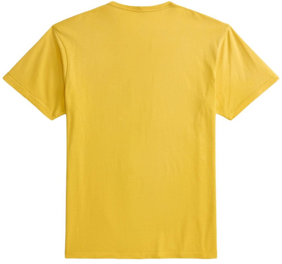 Ralph Lauren T-Shirts And Polos Yellow Geel