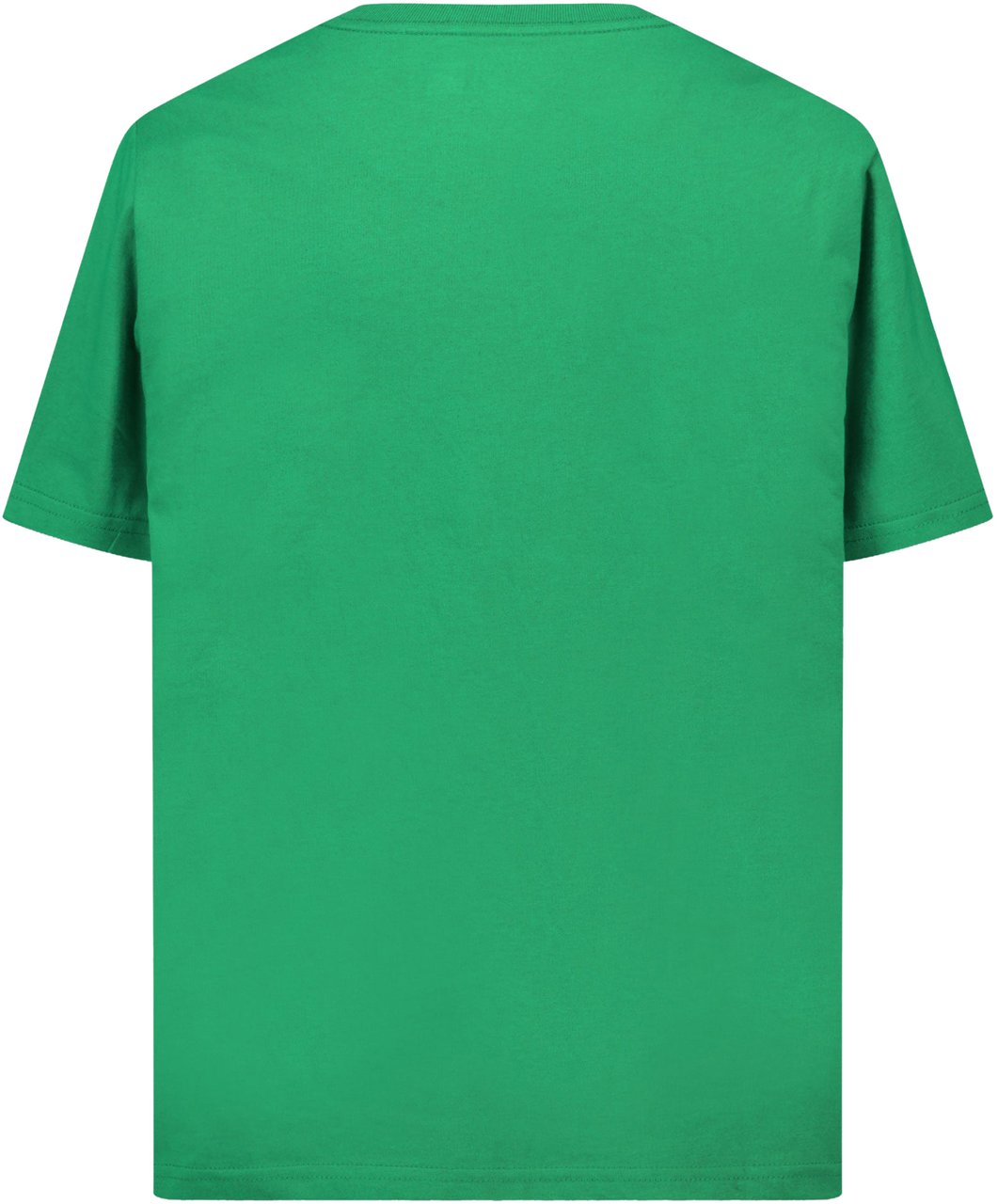Ralph Lauren Ralph Lauren Kinder Jongens T-Shirt In Groen Groen