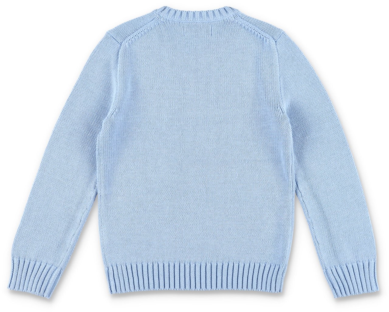 Ralph Lauren Knit Basic Blu Blauw
