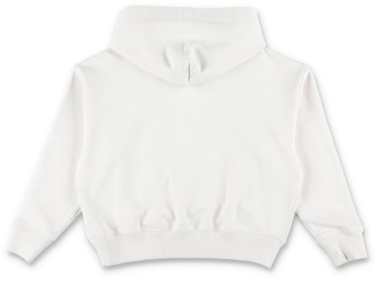 Ralph Lauren Hoodie Flag Bianco Wit