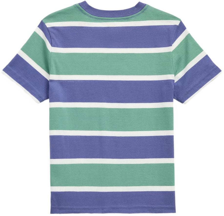 Ralph Lauren T-Shirts And Polos Blue Blauw