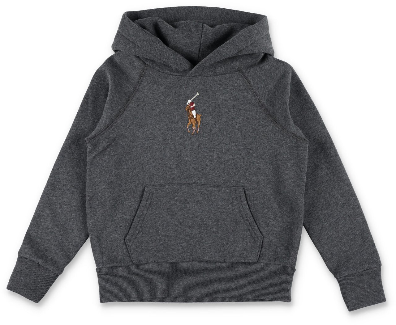 Ralph Lauren Hoodie Horse Grigio Grijs